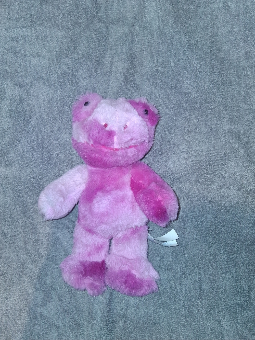 Build A Bear Buddies Tie Dye Frogs
